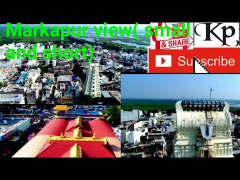 Markapur tours & travels( Saddam)